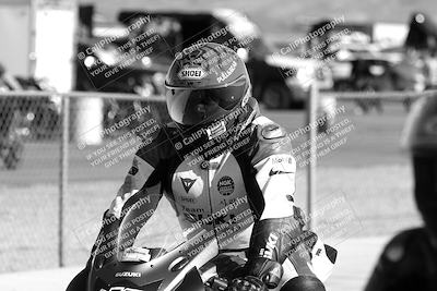 media/Feb-23-2025-2WTD (Sun) [[9604a77d5d]]/1-Around the Pits/